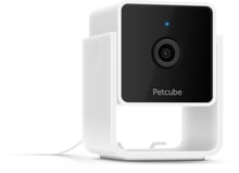 Компактная HD-камера Petcube Cam с ночным видением и двухсторонней аудиосвязью