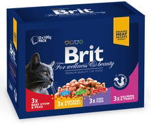 Влажный корм для кошек Brit Premium Cat pouch Семейная тарелка ассорти 4 вкуса 12x100 г (8595602506255)