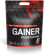 IronMaxx German Forge Gainer Professional 2000 g /20 servings/ Vanilla