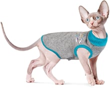 Свитер Pet Fashion Bruce бирюза XXS для котов (4823082418091)