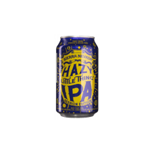 Пиво Sierra Nevada Hazy Little Session Thing (0,355 л.) (BWT1554)
