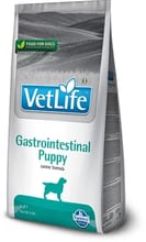 Сухий корм Farmina Vet Life Gastrointestinal Puppy для цуценят, при захворюванні ШКТ 2 кг (8010276036940)