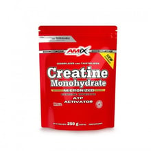 Amix Creatine Monohydrate 250 g /83 servings/Unflavored