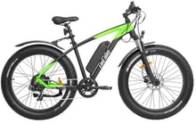 Електровелосипед Like.Bike Bruiser (green / grey)