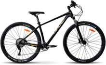 Велосипед VNC 2023' 29" FastRider Sport V1C10-2943-BG 43см (0547) black (shiny)/gold (shiny)