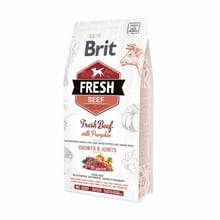 Сухий корм Brit Fresh Beef / Pumpkin для цуценят великих порід 12 кг (8595602530755)