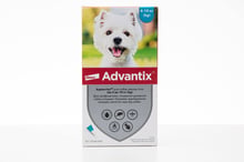 Капли Bayer/Elanco Advantix для собак 4-10 кг от заражений экто паразитами 1 уп. 4 пипетки (4007221047230)