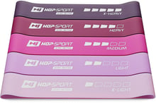 Hop-Sport Набор резинок для фитнеса 60x5 см розовый (HS-L650RLP)