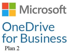 Microsoft OneDrive for business (Plan 2) P1Y Annual License (CFQ7TTC0LH1M_0001_P1Y_A)