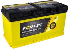 FORTIS 100 Ah/12V (0) Euro (FRT100-00)