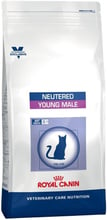 Корм для кастрированных котов Royal Canin Neutered Young Male, 3.5 кг