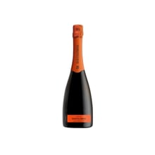 Шампанское Bortolomiol Senior Valdobiadene Prosecco Superiore (1,5 л) (BW12241)