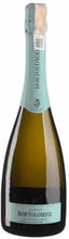 Вино Bortolomiol Suavis Valdobbiadene Prosecco Superiore Tradizionali біле напівсухе 0.75 л (BWQ0727)