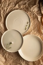 Dovbysh Porcelain NOVA Biege 12 предметов (DP102BG)