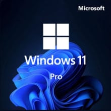 Microsoft Win Pro 11 64-bit All Lng PK Lic Online DwnLd NR (FQC-10572)