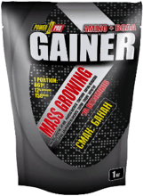 Power Pro Gainer 1000 g /25 servings/ Ваниль