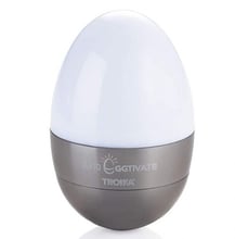 Светильник-ночник Troika Eggtivate, с датчиком вибрации, стальной (EGG10/TI)