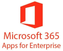 Microsoft 365 Apps for enterprise P1Y Annual License (CFQ7TTC0LGZT_0001_P1Y_A)