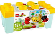 Конструктор LEGO DUPLO My First Органический огород 43 детали (10984)