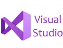 Microsoft Visual Studio Professional 2022 Commercial, Perpetual (DG7GMGF0D3SJ_0003)