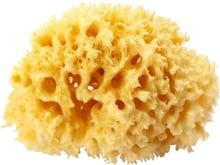 Натуральная морская губка Ok Baby Silk Fine sea sponge 16 см (38481600)