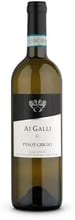 Вино Ai Galli Pinot Grigio DOC Venezia, біле сухе, 0.75л 13% (ALR15575)