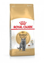 Сухой корм для котов Royal Canin British Shorthair пород британская короткошерстная 4 кг (2557040)