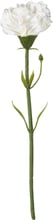 Искусственный цветок ІКЕА Smycka 30 см Белый (20333588)