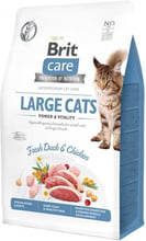 Сухой корм Brit Care Cat GF Large cats Power & Vitality для котов крупных пород 2 кг (8595602540914)
