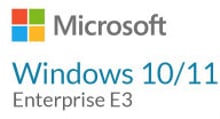 Microsoft Windows 10/11 Enterprise E3 P1Y Annual License (CFQ7TTC0LGTX_0004_P1Y_A)