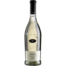 Вино Canti Pinot Grigio Veneto Blanc (0,75 л) (BW32776)