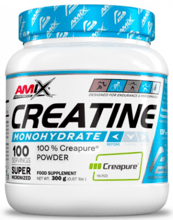 Amix Performance Creatine Creapure 300 g /100 serving/Unflavored