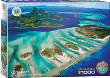 Пазл Eurographics Кораловый риф. Серия Спасем нашу планету, 1000 элементов (6000-5538)