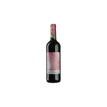 Вино Chateau Musar Musar Jeune Red (0,75 л.) (BW90658): Страна производитель Ливан