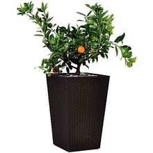 Горшок для цветов Keter Large Rattan Planter коричневый 145 л: Производитель Keter