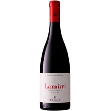 Вино Lamùri Nero d'Avola Sicilia DOC червоне 0.75 л (WHS8001666759877): Країна виробник Італія