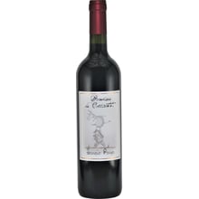 Вино La Ginestra Sangio Panza 2019 красное сухое 0.75л (BWR5155): Страна производитель Италия