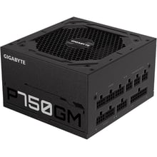 Блок живлення GIGABYTE 750W (P750GM): Форм-фактор ATX