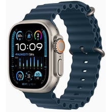 Apple Watch Ultra 2 GPS + Cellular 49mm Titanium Case with Blue Ocean Band (MREG3): Цвет бежевый