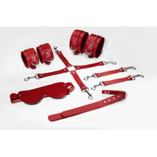 Набір Feral Feelings BDSM Kit 5 Red: Виробник Feral Feelings