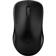 Мишка RAPOO 1620 Wireless Optical Mouse: інтерфейс підключення Wireless