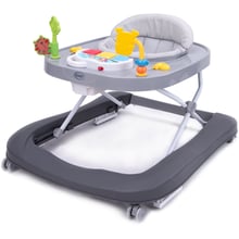 Ходунки 4Baby Walk'n Push Dark Grey (4WP01): Колір серый