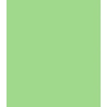 Фон для студії Savage Widetone Mint Green 1.36m x 11m: undefined undefined