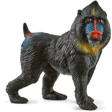 Іграшка-фігурка Schleich Мандріл (14856): Тип Игровая фигурка