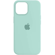 Аксесуар для iPhone ArmorStandard Silicone Case Succulent для iPhone 14 Pro Max (ARM67960): Колір бирюзовый