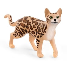 Игрушка-фигурка Schleich Бенгальская кошка (13918): Тип Игровая фигурка