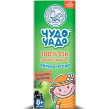 Чудо-Чадо сік яблуко-ягода прямого віджиму 200 мл: Тип Соки