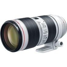 Объектив для фотоаппарата Canon EF 70-200mm f/2,8L IS III USM: Тип объектива телеобъектив