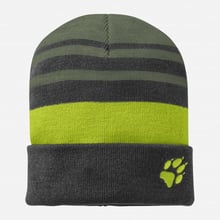 Шапка Jack Wolfskin Stripy Knit Cap темно-зеленая (1910401_5145): Пол Мальчик