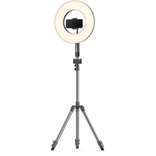 TaoTronics 14 '' Selfie Ring Light, Dimmable LED Ring Light with 78 '' Tripod Stand 36W 6500K: Виробник TaoTronics